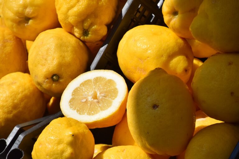 branduri incaltaminte italia