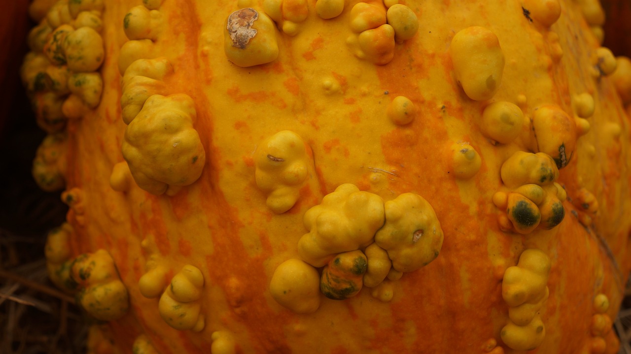 acid salicilic pentru veruci