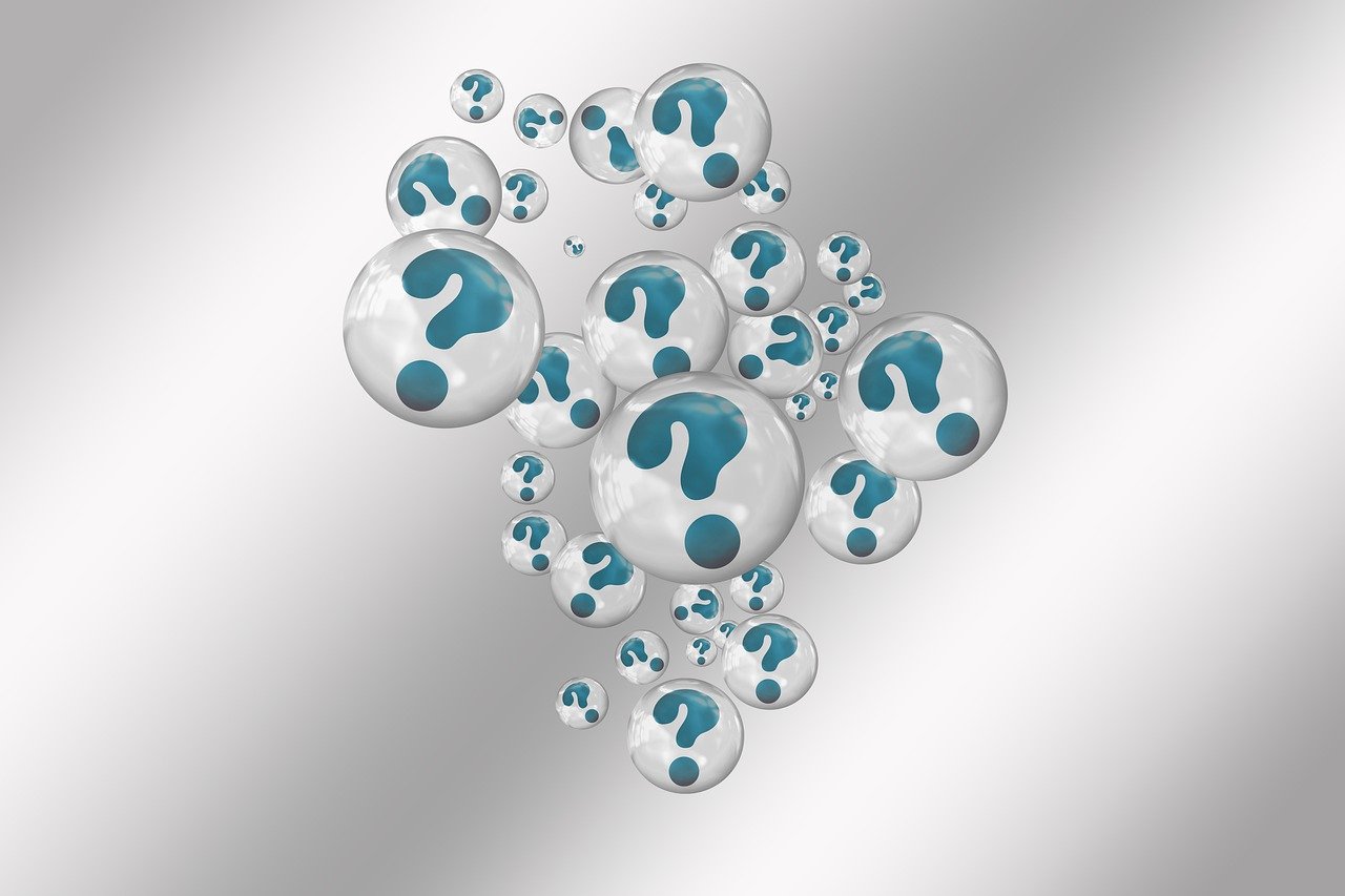 cine este laura vicol