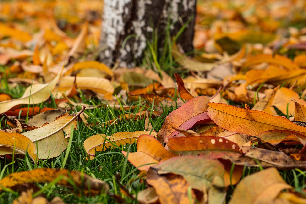 cat dureaza un balayage