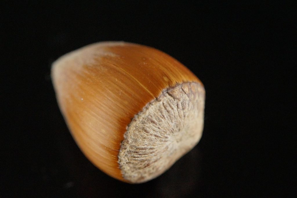 nucile ingrasa
