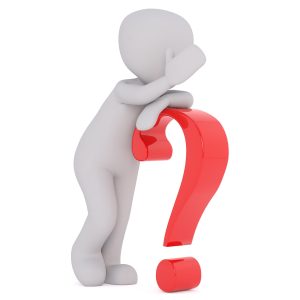 cati ani are monica tatoiu