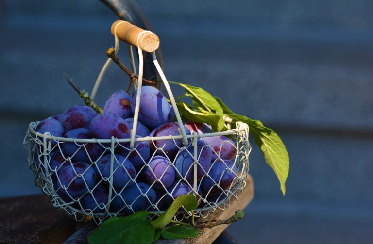seleniu organic pentru tiroida
